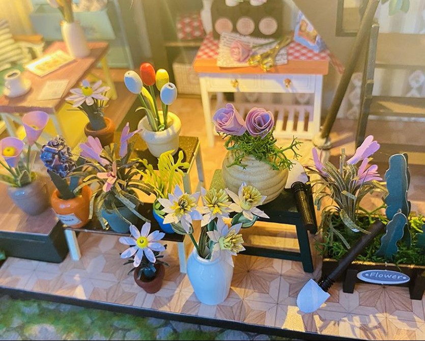 M2322 達(dá)西花房